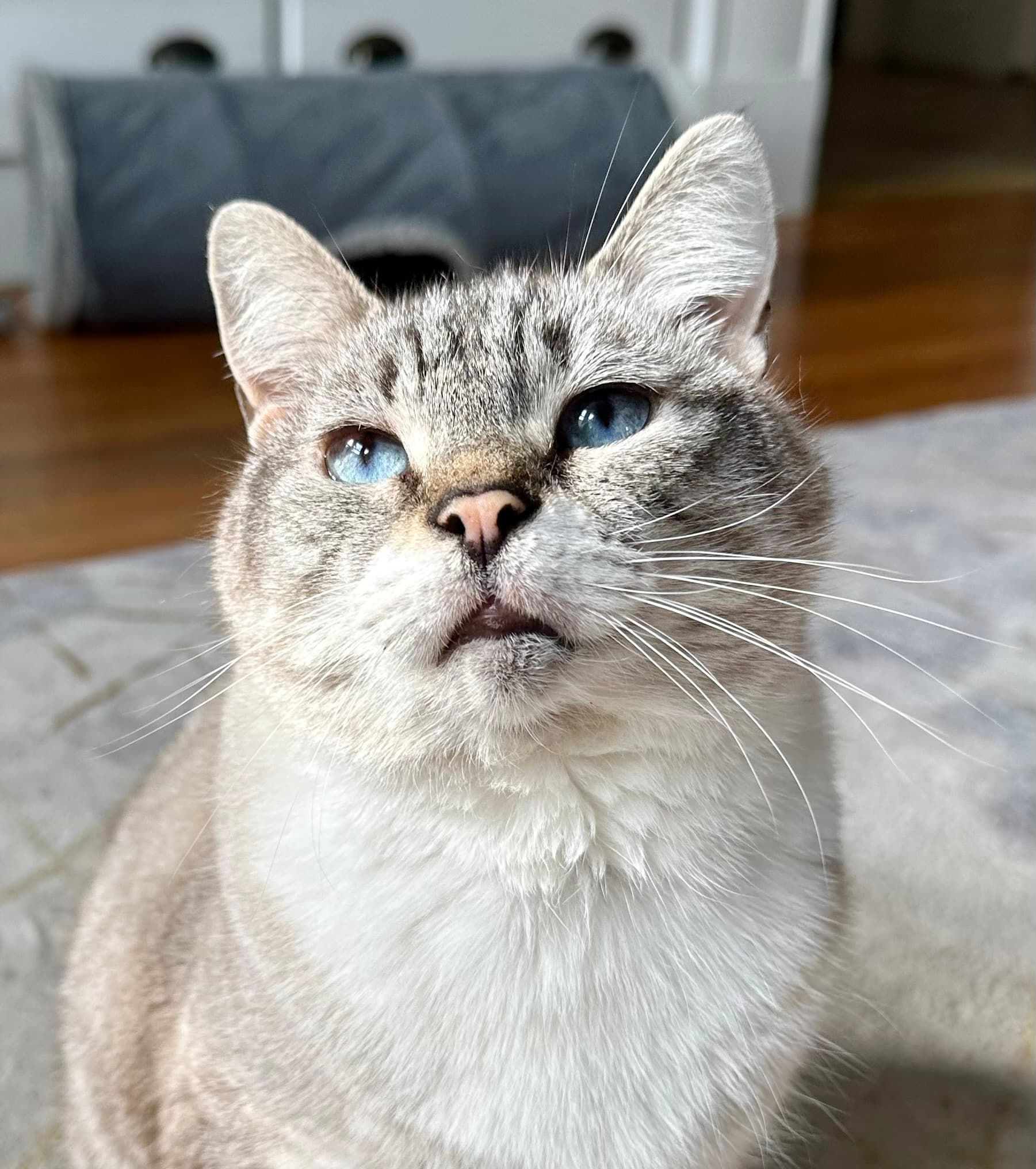 Example of good photo reference: natural lighting, subject looking at camera