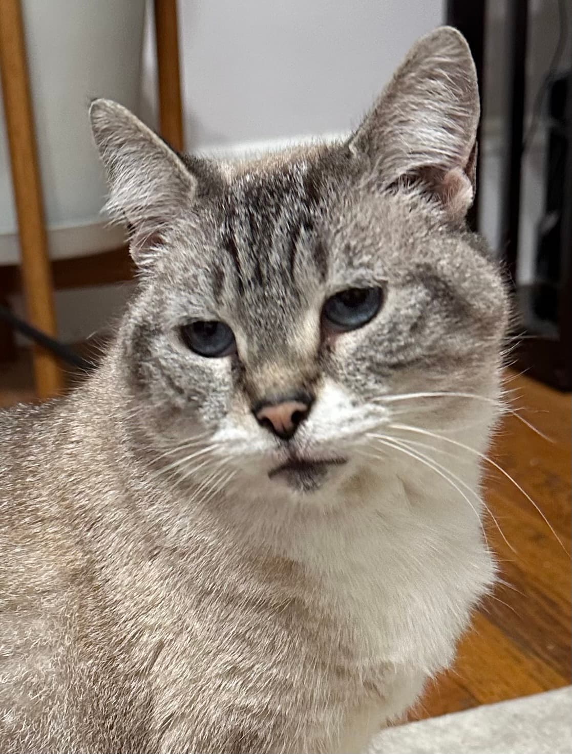 Example of bad photo reference: poor lighting, subject looking away